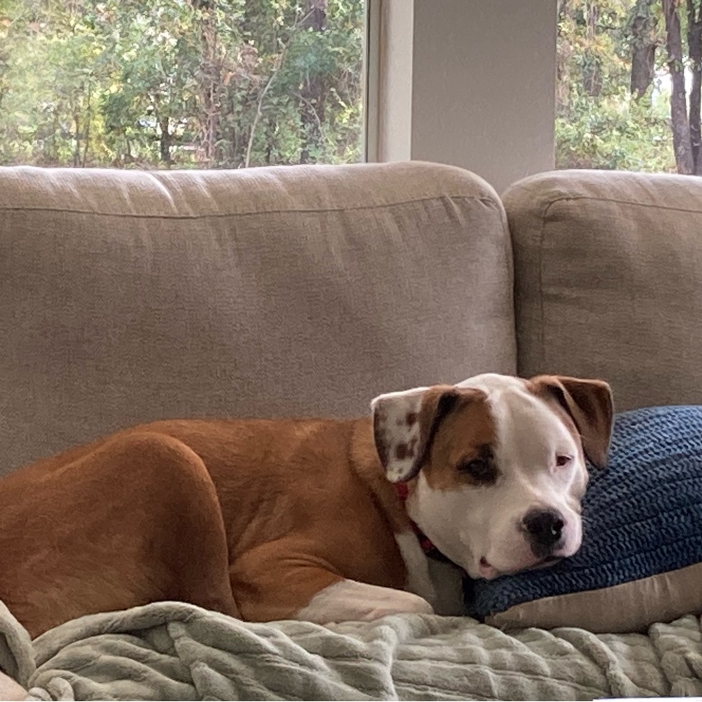 Meet your Posher, Sharon